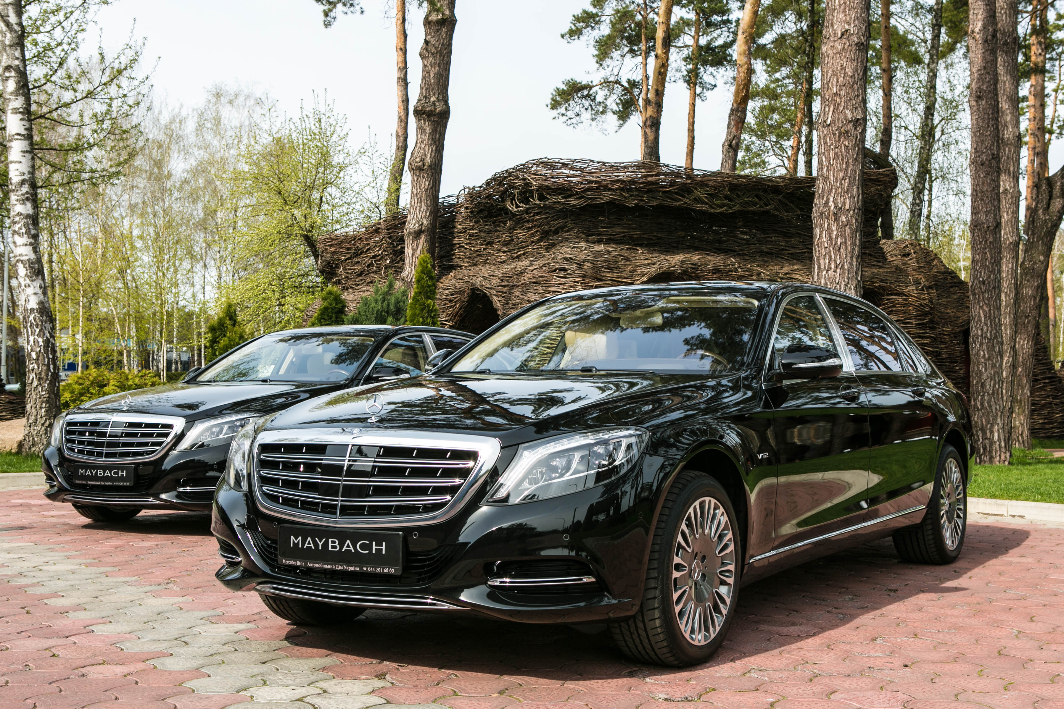 Mercedes-Maybach SARYMSAKOV ANDREY / Shutterstock